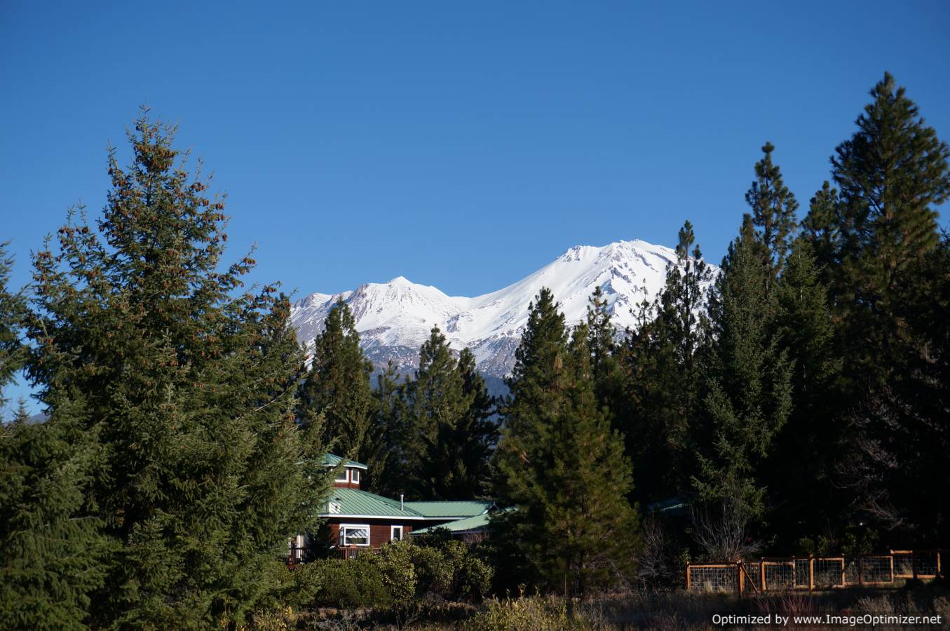 Mt Shasta View 5 acres for sale